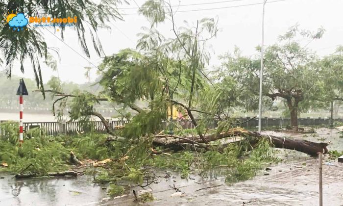 Bao Lu Xay Ra Thuong Xuyen Anh Huong Den Doi Song Nguoi Dan