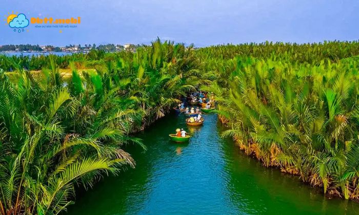 Ben Tre Noi Tieng Voi Nhung Vuon Dua Xanh Bat Ngat