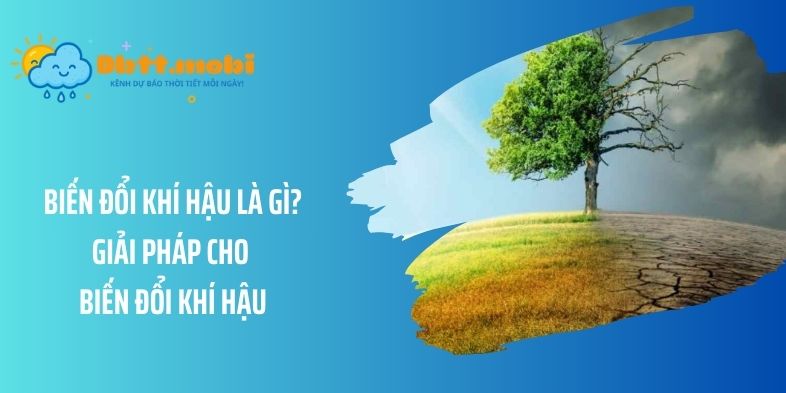 Biến đổi khí hậu là gì? Giải pháp cho biến đổi khí hậu