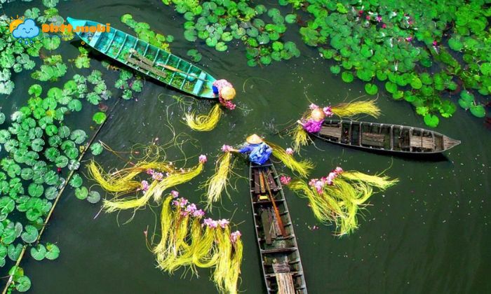 Cap Nhat Thoi Tiet Thuong Xuyen De Chu Dong Hanh Trinh