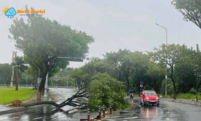 Hieu Hoan Luu Bao La Gi De Biet Duoc Cach Hoan Luu Bao Hinh Thanh