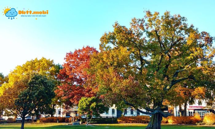 Kham Pha Kien Thuc Khi Hau On Doi La Gi