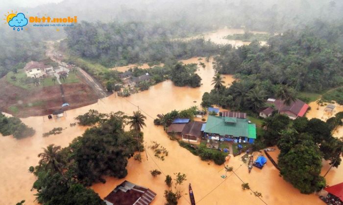 Mua Thay Vi Phan Bo Deu Dan Lai Tro Nen That Thuong Gay Lu Lut