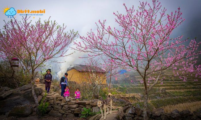 Mua Xuan Bat Dau Tu Thang May Hau Nhu Nhieu Nguoi Se Tinh Bat Dau Bang Tiet Lap Xuan