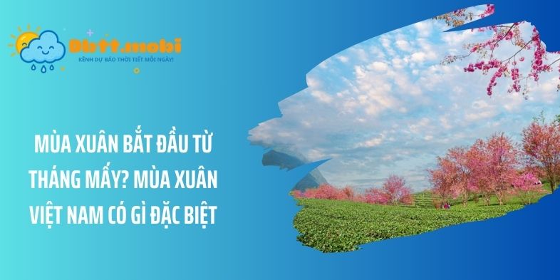 Mùa xuân bắt đầu từ tháng mấy? Mùa xuân Việt Nam có gì đặc biệt