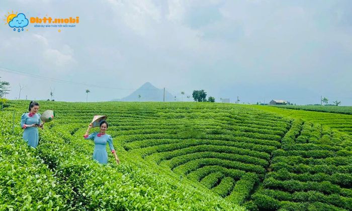 Tinh Thai Nguyen Sau Sap Nhap Co Dia Hinh Da Dang Khi Hau Mat Me