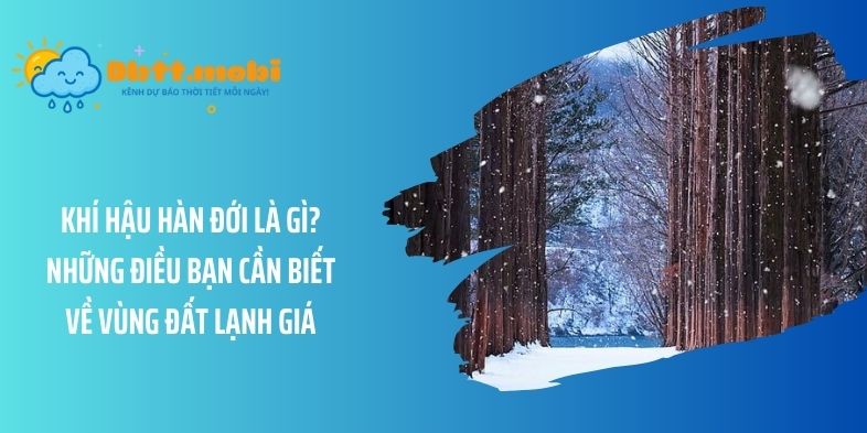 Khí hậu hàn đới là gì? Những điều bạn cần biết về vùng đất lạnh giá