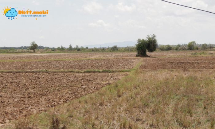 Thoi Tiet Ba Ria Vung Tau 2