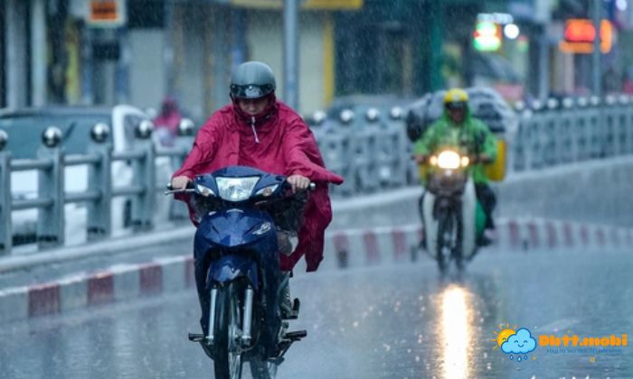 Thoi Tiet Hai Phong 4